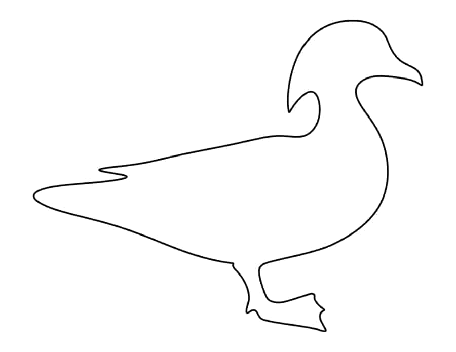 Wood Duck Coloring Pages Pdf Free Vectors